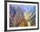 Black Canyon of the Gunnison National Park, Colorado, USA-Jamie & Judy Wild-Framed Photographic Print