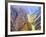 Black Canyon of the Gunnison National Park, Colorado, USA-Jamie & Judy Wild-Framed Photographic Print