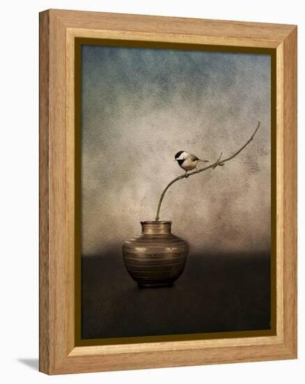 Black Capped Chickadee on a Vase-Jai Johnson-Framed Premier Image Canvas