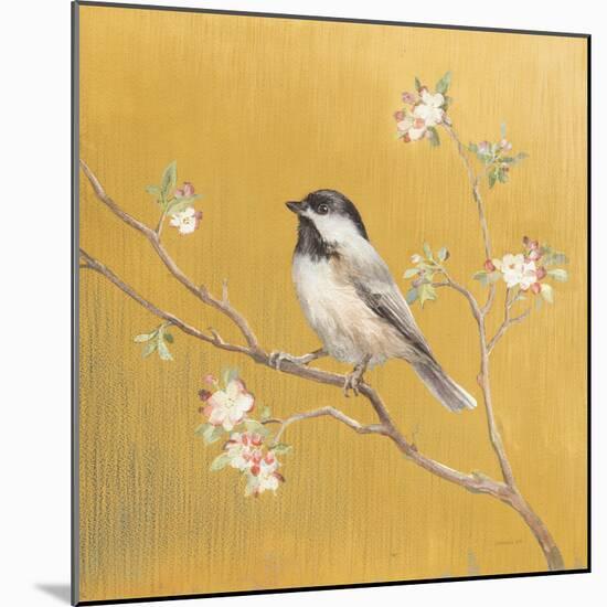 Black Capped Chickadee on Gold-Danhui Nai-Mounted Art Print