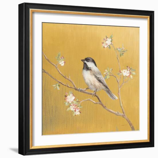 Black Capped Chickadee on Gold-Danhui Nai-Framed Art Print