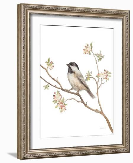 Black Capped Chickadee v2 on White-Danhui Nai-Framed Art Print