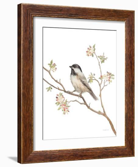 Black Capped Chickadee v2 on White-Danhui Nai-Framed Art Print