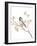 Black Capped Chickadee v2 on White-Danhui Nai-Framed Art Print