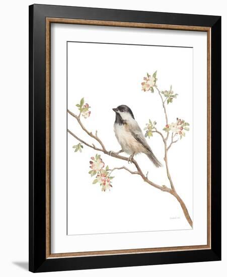 Black Capped Chickadee v2 on White-Danhui Nai-Framed Art Print