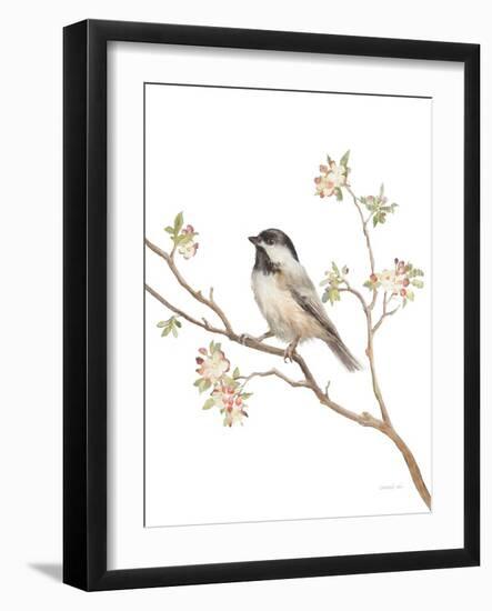 Black Capped Chickadee v2 on White-Danhui Nai-Framed Art Print