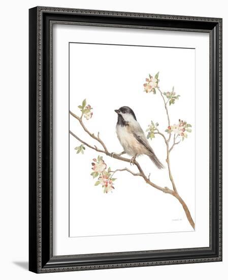 Black Capped Chickadee v2 on White-Danhui Nai-Framed Art Print