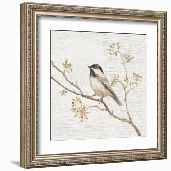 Black Capped Chickadee Vintage-Danhui Nai-Framed Art Print