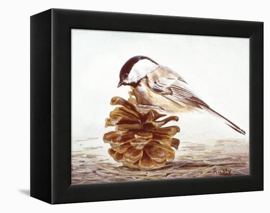 Black-Capped Chickadee-Rusty Frentner-Framed Premier Image Canvas