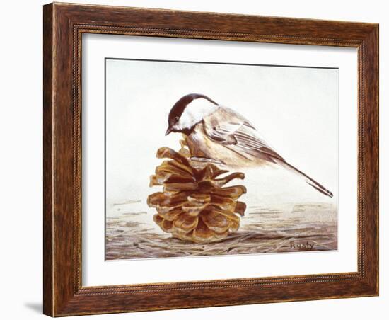 Black-Capped Chickadee-Rusty Frentner-Framed Giclee Print