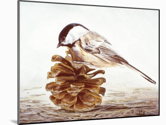 Black-Capped Chickadee-Rusty Frentner-Mounted Giclee Print