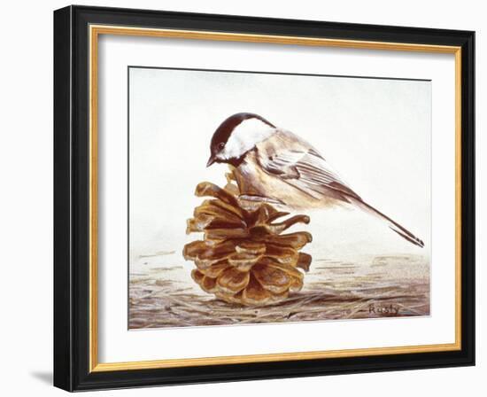 Black-Capped Chickadee-Rusty Frentner-Framed Giclee Print