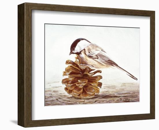 Black-Capped Chickadee-Rusty Frentner-Framed Giclee Print