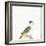 Black-Capped Parrot-Nicolas Robert-Framed Giclee Print