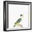 Black-Capped Parrot-Nicolas Robert-Framed Giclee Print