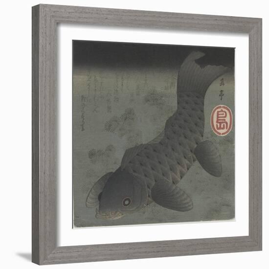 Black Carp, Mid 19th Century-Yashima Gakutei-Framed Giclee Print