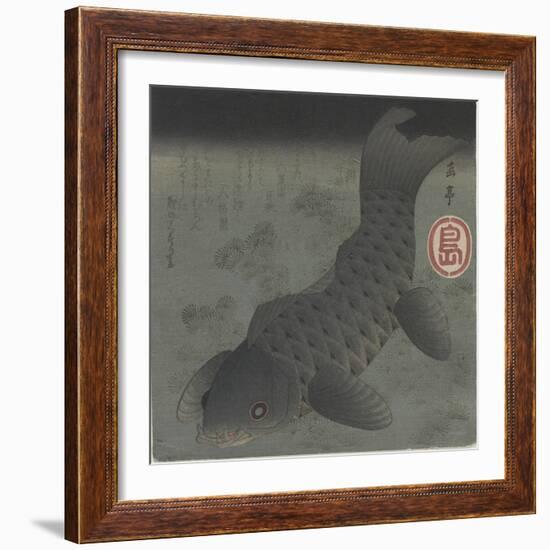 Black Carp, Mid 19th Century-Yashima Gakutei-Framed Giclee Print