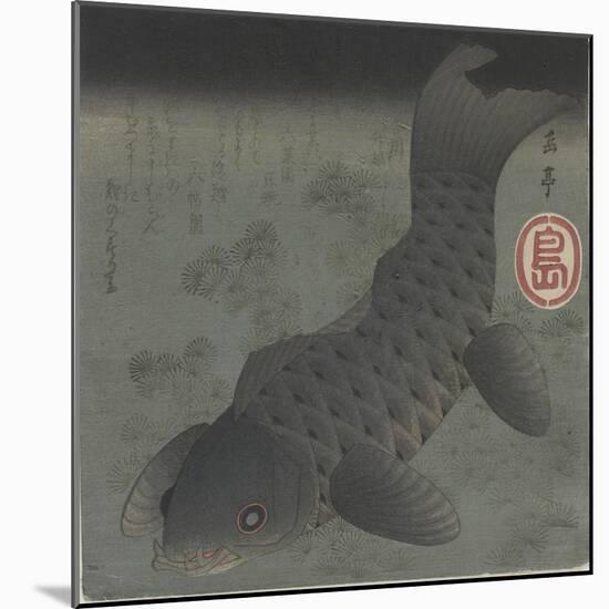 Black Carp, Mid 19th Century-Yashima Gakutei-Mounted Giclee Print