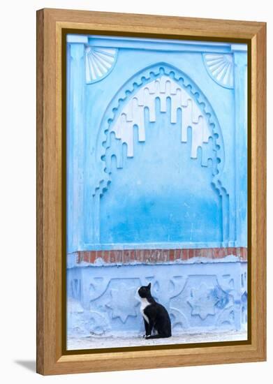 Black Cat and Blue Wall-Steven Boone-Framed Premier Image Canvas