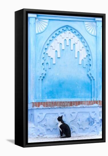 Black Cat and Blue Wall-Steven Boone-Framed Premier Image Canvas