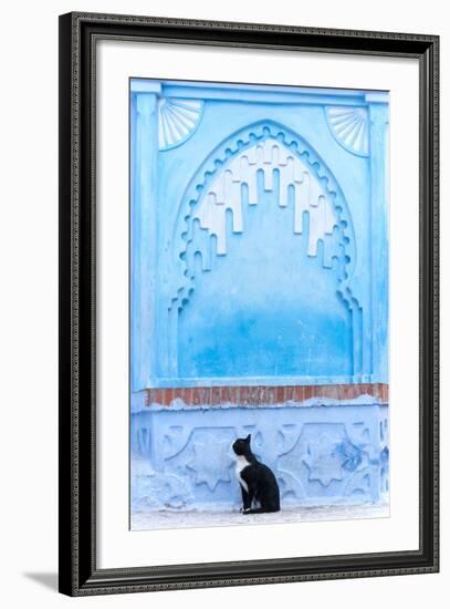 Black Cat and Blue Wall-Steven Boone-Framed Photographic Print