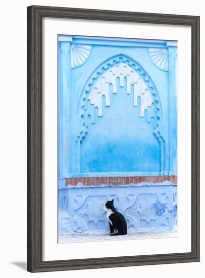 Black Cat and Blue Wall-Steven Boone-Framed Photographic Print