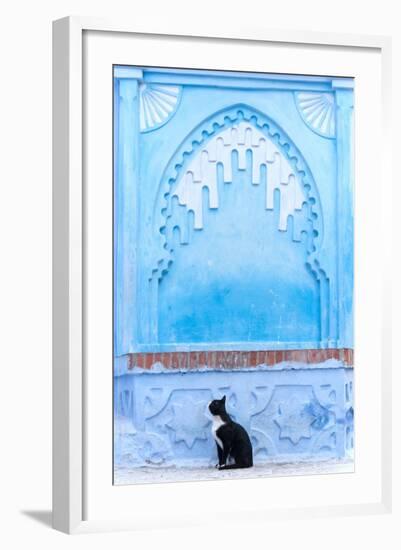 Black Cat and Blue Wall-Steven Boone-Framed Photographic Print