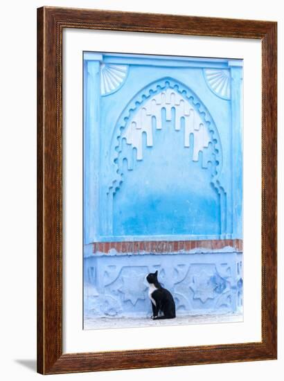 Black Cat and Blue Wall-Steven Boone-Framed Photographic Print