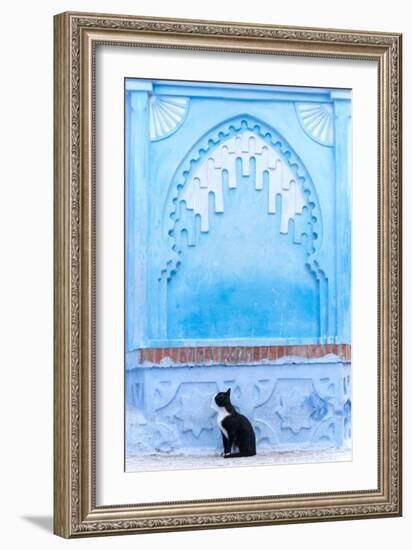 Black Cat and Blue Wall-Steven Boone-Framed Photographic Print