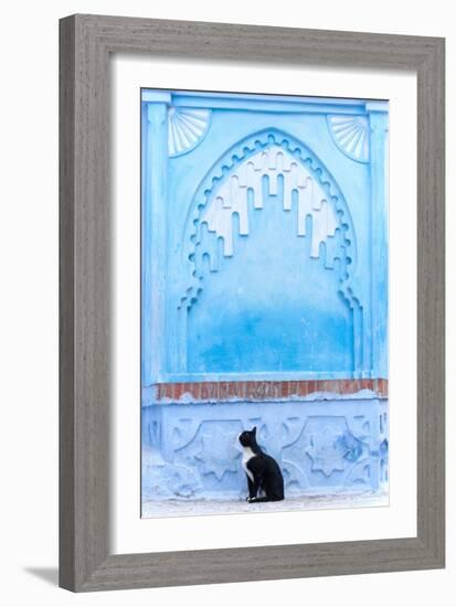 Black Cat and Blue Wall-Steven Boone-Framed Photographic Print