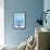 Black Cat and Blue Wall-Steven Boone-Framed Photographic Print displayed on a wall