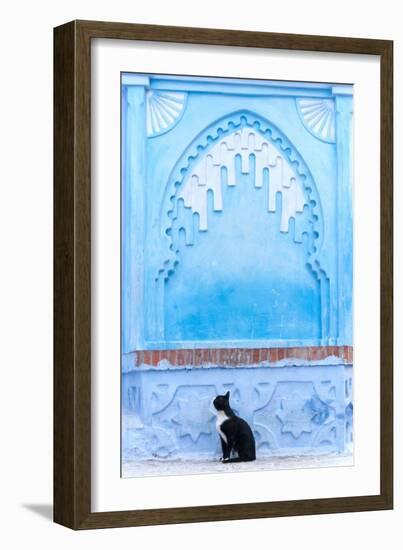 Black Cat and Blue Wall-Steven Boone-Framed Photographic Print