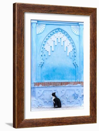 Black Cat and Blue Wall-Steven Boone-Framed Photographic Print