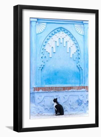 Black Cat and Blue Wall-Steven Boone-Framed Photographic Print