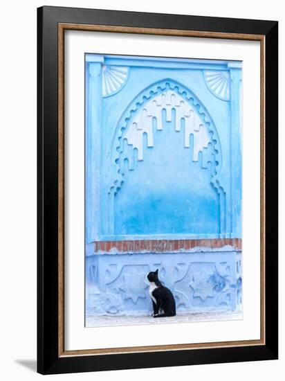 Black Cat and Blue Wall-Steven Boone-Framed Photographic Print