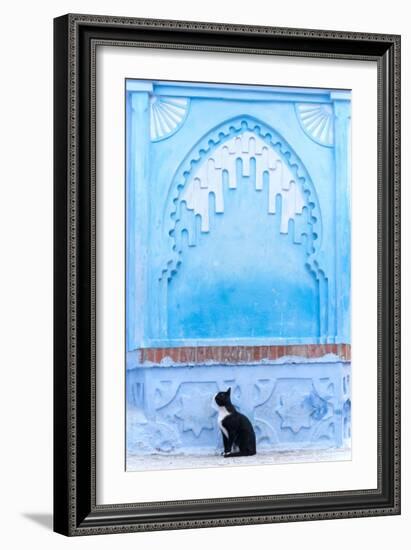 Black Cat and Blue Wall-Steven Boone-Framed Photographic Print