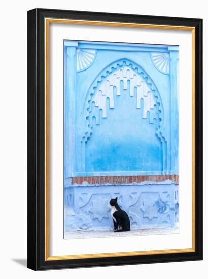 Black Cat and Blue Wall-Steven Boone-Framed Photographic Print