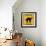 Black Cat Crossing-Tina Lavoie-Framed Giclee Print displayed on a wall