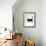 Black Cat (Felis Catus) Walking Profile-Jane Burton-Framed Photographic Print displayed on a wall