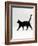 Black Cat (Felis Catus) Walking Profile-Jane Burton-Framed Photographic Print