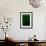 Black Cat in Green-Ikuko Kowada-Framed Giclee Print displayed on a wall