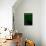 Black Cat in Green-Ikuko Kowada-Framed Premier Image Canvas displayed on a wall