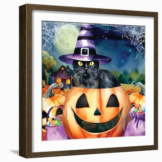 Black Cat in Pumpkin-Nicole DeCamp-Framed Art Print