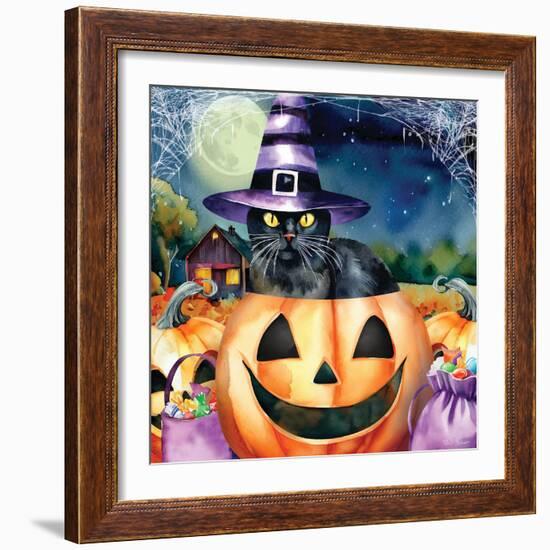 Black Cat in Pumpkin-Nicole DeCamp-Framed Art Print