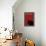 Black Cat in Red-Ikuko Kowada-Framed Premier Image Canvas displayed on a wall