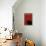 Black Cat in Red-Ikuko Kowada-Framed Premier Image Canvas displayed on a wall