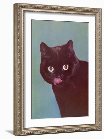 Black Cat Licking Chops-null-Framed Art Print