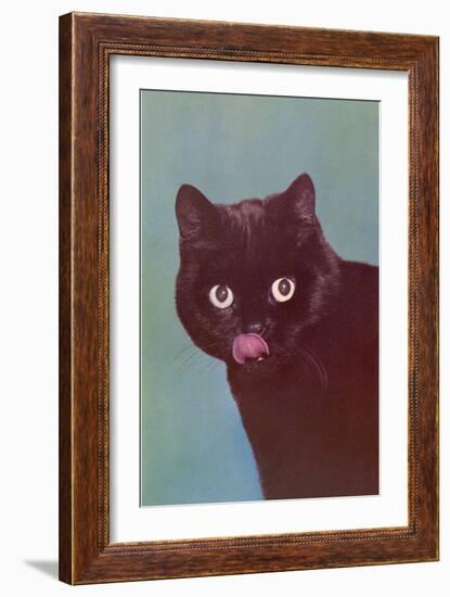 Black Cat Licking Chops-null-Framed Art Print