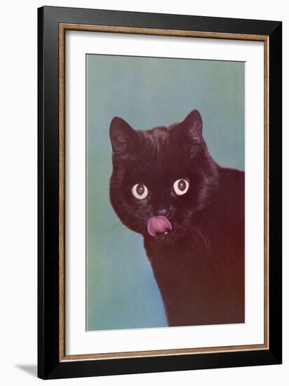 Black Cat Licking Chops-null-Framed Art Print