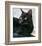 Black Cat Portrait-Robert Mcclintock-Framed Art Print